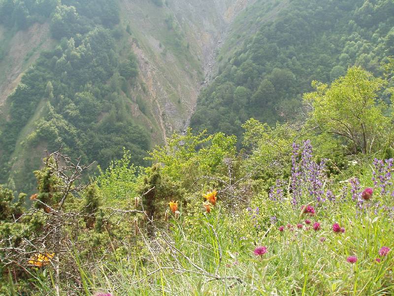 Youri - Ecrins 2005 406 